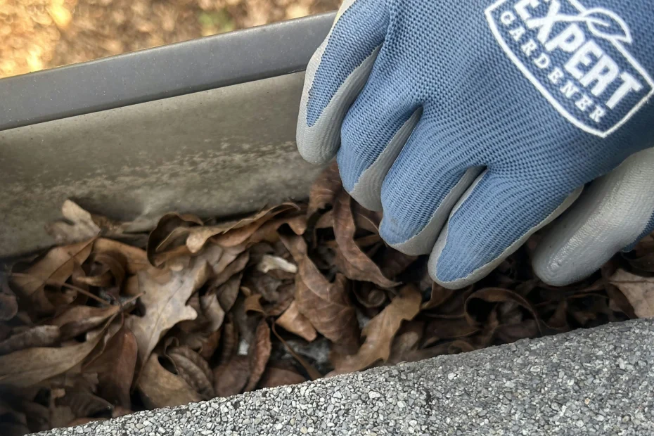 Gutter Cleaning Jonesville