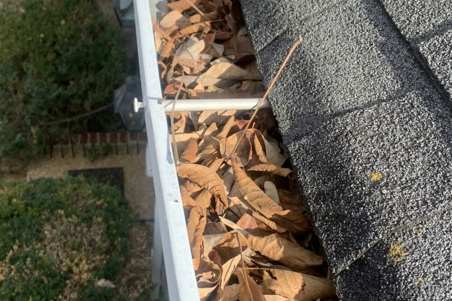 Gutter Cleaning Jonesville